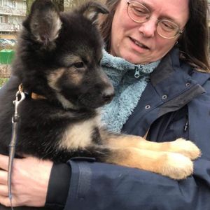 Anja