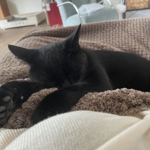 Esther
